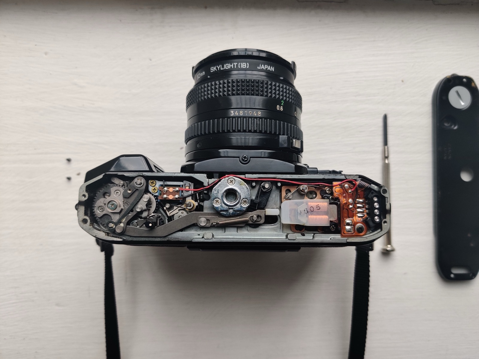 backplate